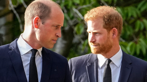 Emoción por anuncio de supuesta visita de Príncipes Harry y William a Colombia