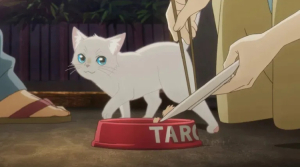 Nueva película de anime en netflix